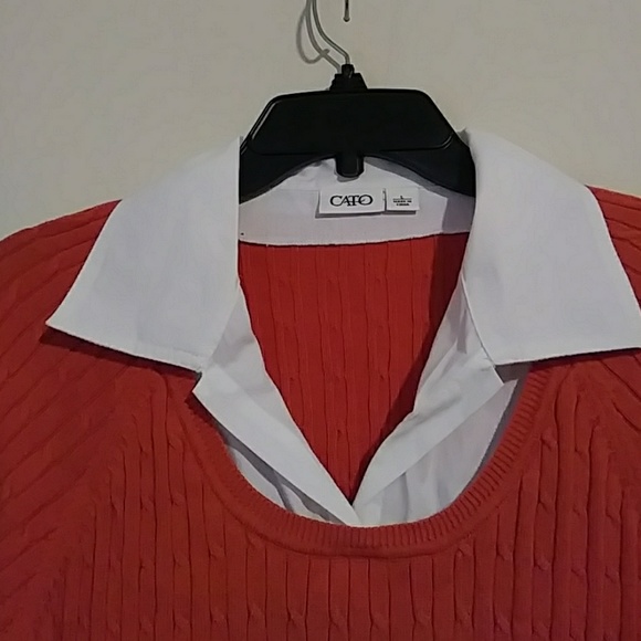 Cato - Picture 2 of 4